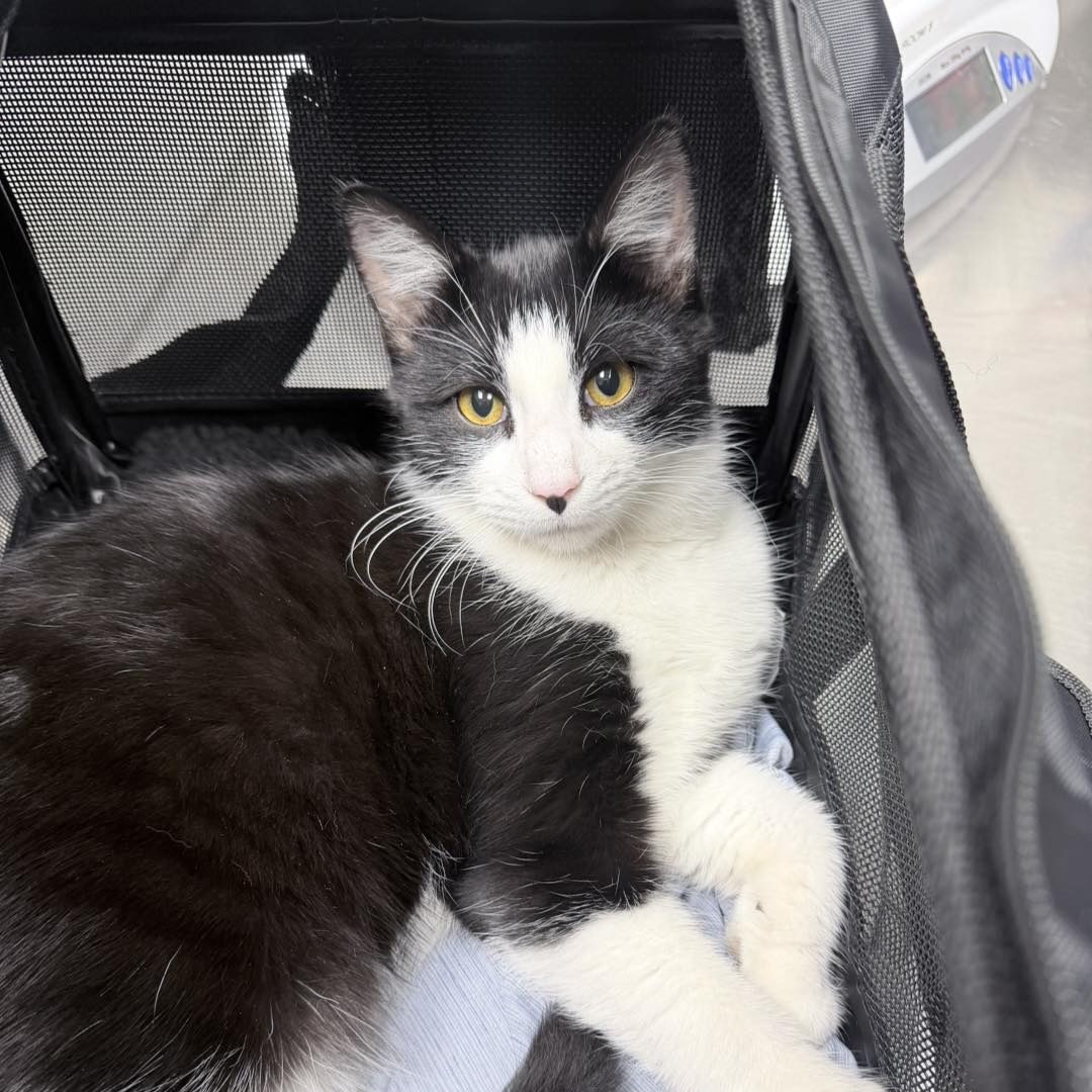 1275B29D-86C8-4070-8631-3BE08B604CD3_1_201_a