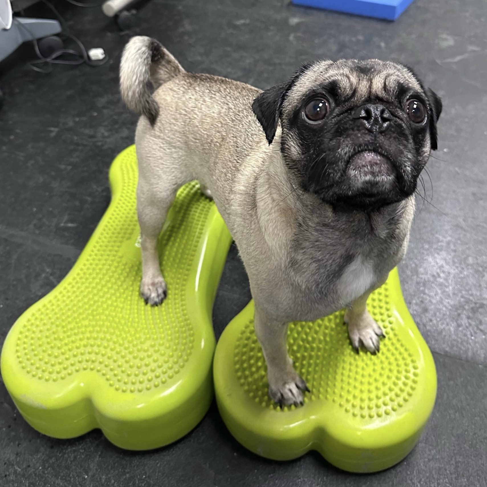 388506A3-123B-41E5-88E1-575BFEA436D2_1_201_a