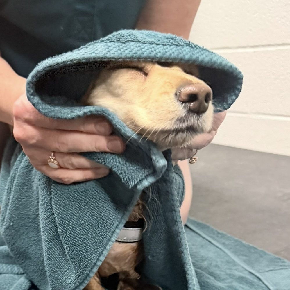 A6C101DC-0D6B-4257-B5B6-6FB978547770_1_201_a