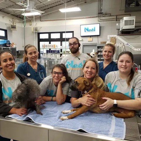 Neel Intensive Care Unit Team